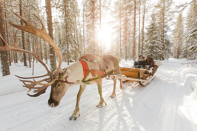 Reindeer ride